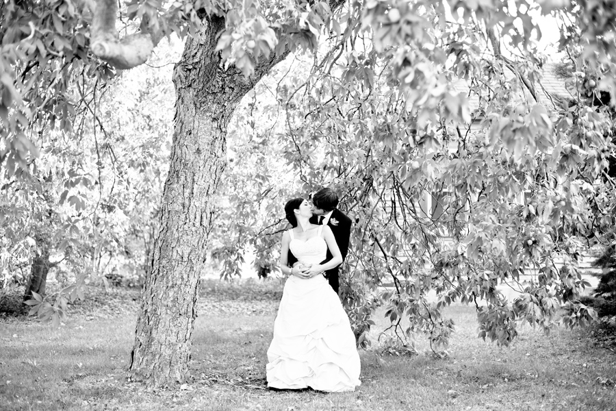 ottawa wedding photography, summer, ottawa, wedding, experimental farm