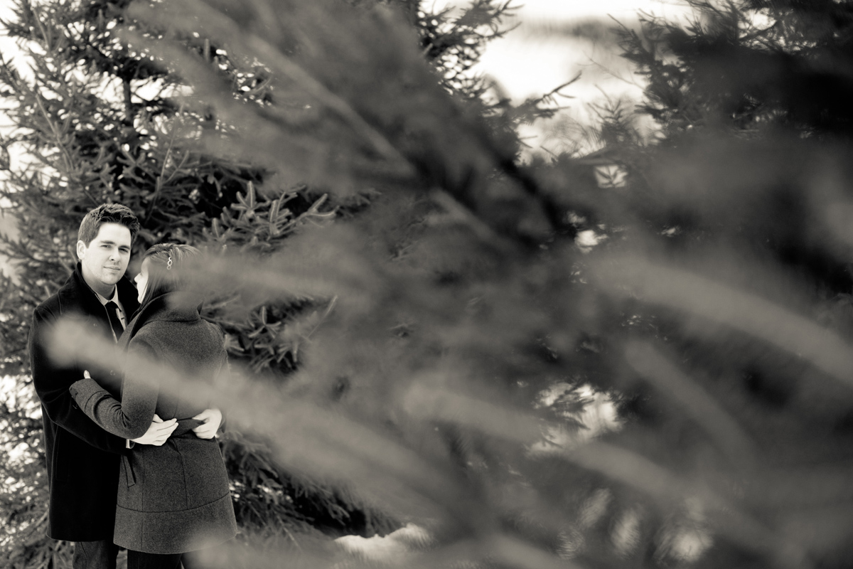 rustic, winter, engagement, kemptville